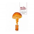 Соковыжималка для фруктов и овощей NOVIS VITA JUICER (4в1), оранжевая, Novissa Switzerland AG
